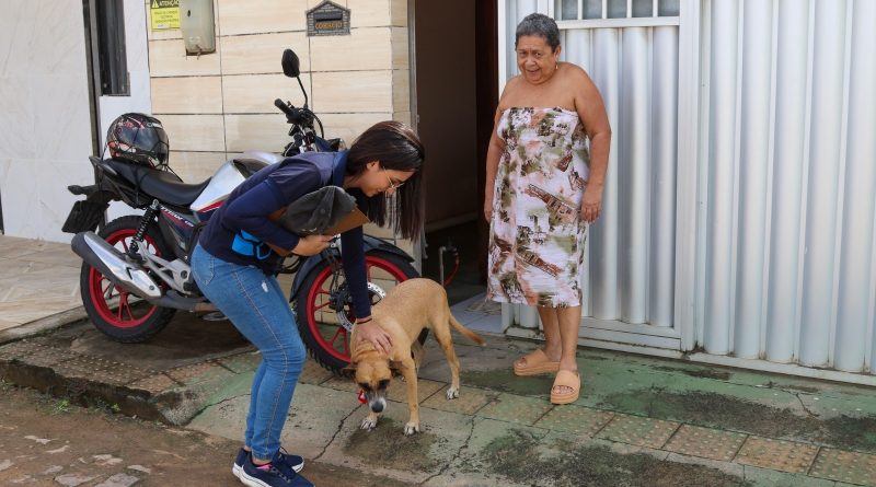 Prefeitura inicia Censo Canino e Felino de Parnamirim