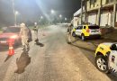 Pai e filho são detidos por dirigir embriagados e sem habilitação na Grande Natal Pai e filho são detidos por dirigir embriagados e sem habilitação na Grande Natal
