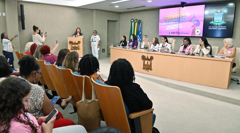 Audiência debate prevenção à violência e direito das mulheres a viverem com dignidade Audiência debate prevenção à violência e direito das mulheres a viverem com dignidade