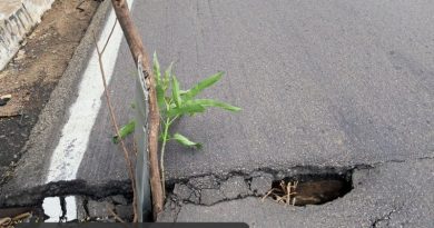 DNIT descartou risco estrutural em ponte da BR-304 após registro de rachaduras