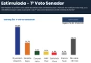 PESQUISA MEDIA/SENADO/ 1º VOTO: Styvenson Valentin lidera com 38,2%; Zenaide Maia tem 18,7% e Coronel Hélio 5,6%
