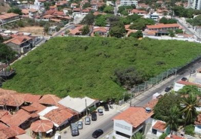 Falhas em segurança levam Justiça a condenar Idema no maior cajueiro do mundo