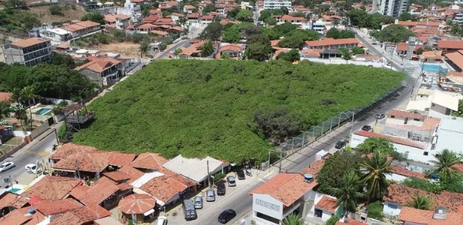 Falhas em segurança levam Justiça a condenar Idema no maior cajueiro do mundo