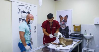 Gestão Nilda amplia atendimento da Zoonoses com investimentos em estrutura, equipamentos, insumos e capacitação