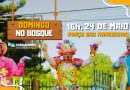 NOVA DATA: Domingo no Bosque chega a Boa Esperança com edição itinerante neste domingo, 24 de maio