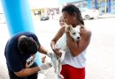 Gestão Nilda reforça cuidado com os animais e já ultrapassa 3.500 pets vacinados na pré-campanha antirrábica