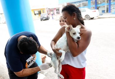 Gestão Nilda reforça cuidado com os animais e já ultrapassa 3.500 pets vacinados na pré-campanha antirrábica