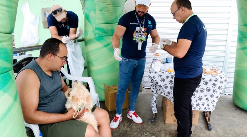 Segundo dia de pré-campanha de vacinação antirrábica imuniza mais de 700 cães e gatos Segundo dia de pré-campanha de vacinação antirrábica imuniza mais de 700 cães e gatos