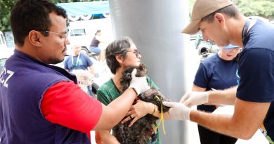 Prefeitura promove ações de conscientização durante o Agosto Verde, mês de combate à leishmaniose