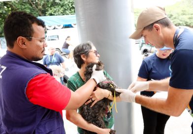 Prefeitura promove ações de conscientização durante o Agosto Verde, mês de combate à leishmaniose