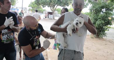 Parnamirim vacina mais de mil pets em pré-campanha antirrábica Parnamirim vacina mais de mil pets em pré-campanha antirrábica