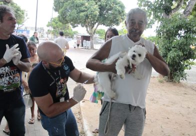 Parnamirim vacina mais de mil pets em pré-campanha antirrábica Parnamirim vacina mais de mil pets em pré-campanha antirrábica