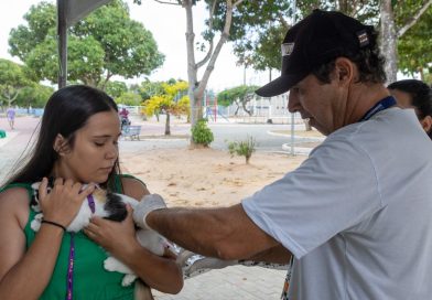 Pré-campanha de vacinação antirrábica estará em Emaús e Vida Nova neste sábado (5) Pré-campanha de vacinação antirrábica estará em Emaús e Vida Nova neste sábado (5)